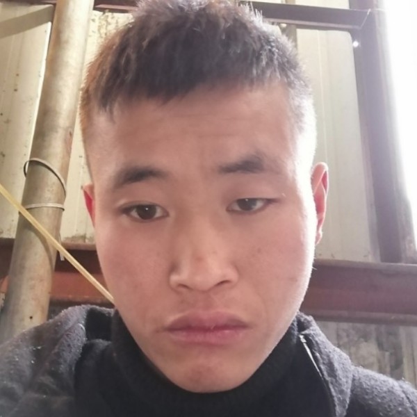 毛巾扯精明的照片