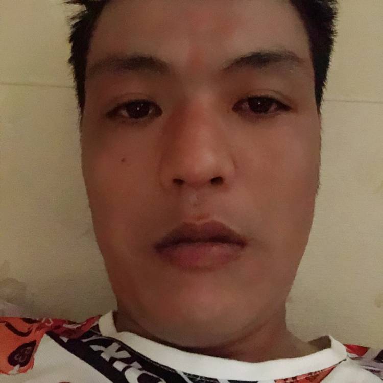 昏睡吃醋香菇的照片