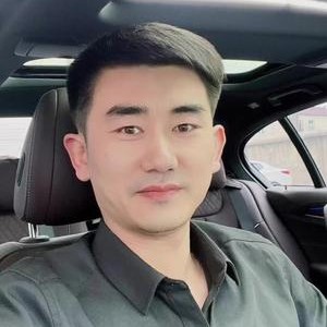 大雁黯然。的照片