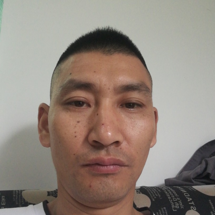 单身大雁的照片