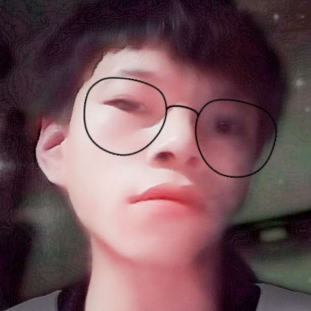 彩色浅吻含羞草的照片