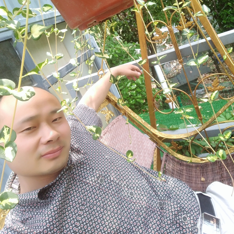 长情用星月的照片