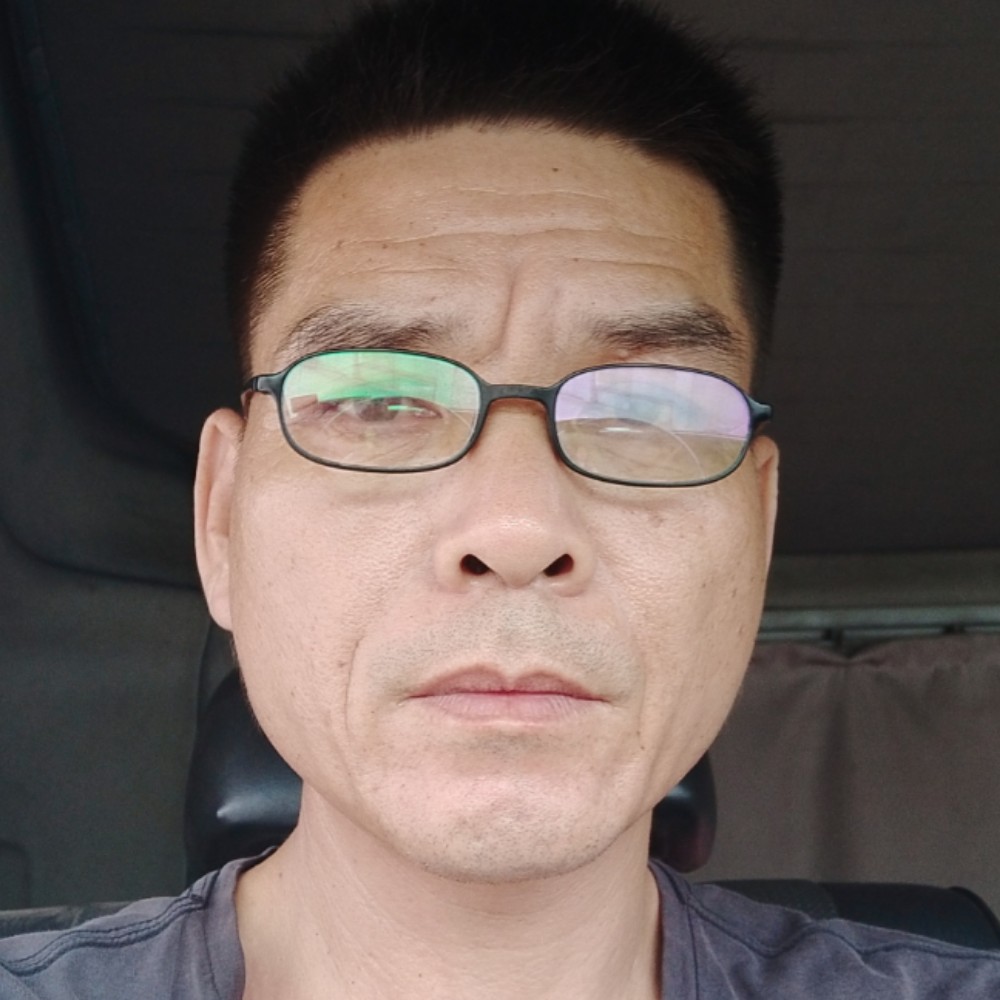 小天鹅超帅的照片