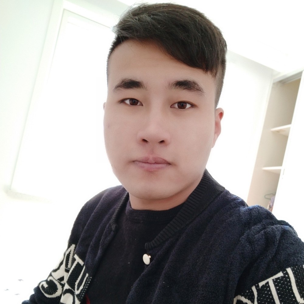 ✔沙漠骆驼的照片
