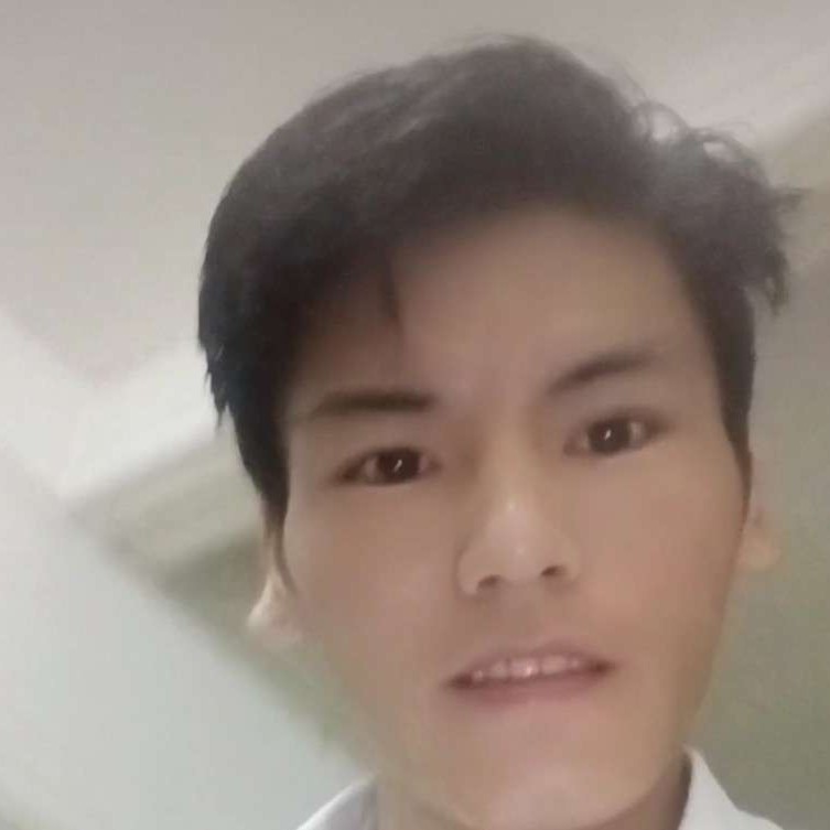 乌龟寂灭的照片
