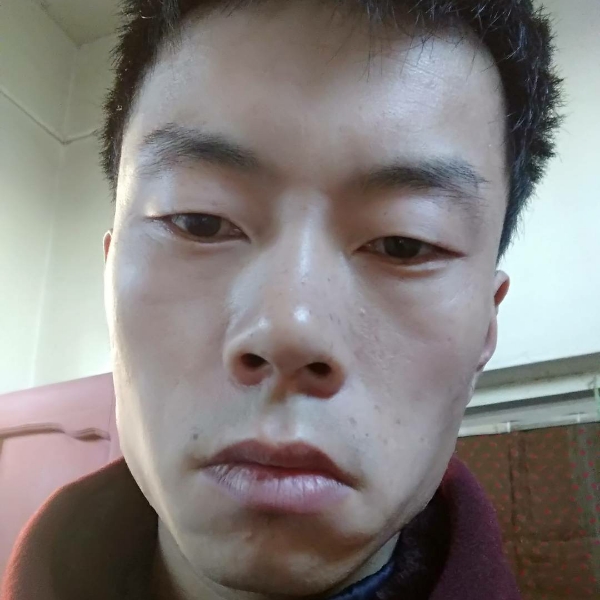 离歌迷路的照片