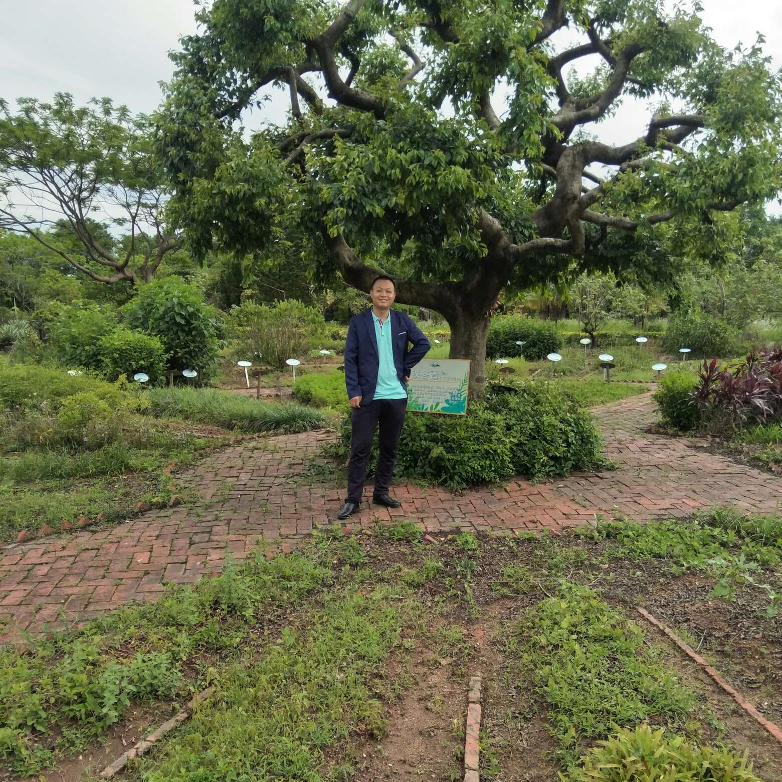 小天鹅等待合适的照片