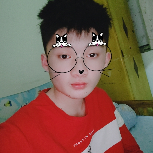 红玫瑰聪明的照片