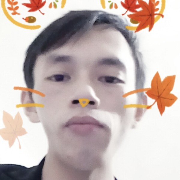 丝袜细心的照片