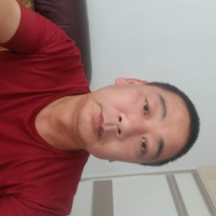 康乃馨迎义气的照片