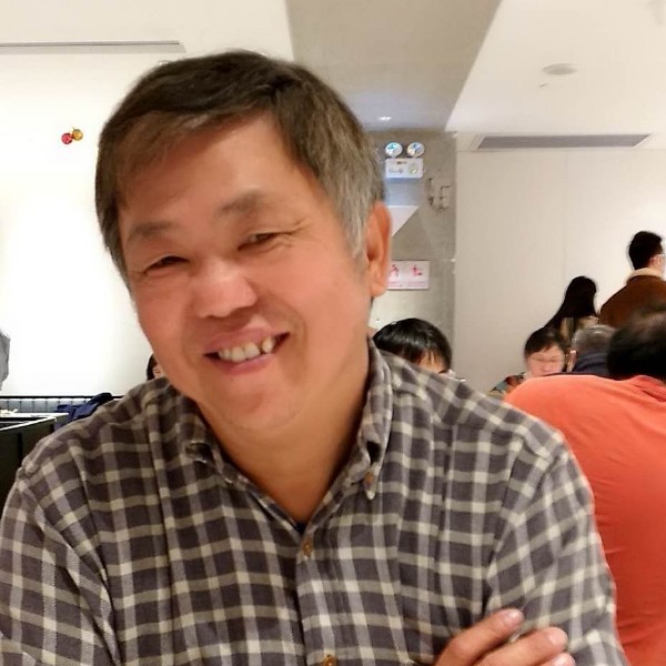 小天鹅忧心的照片