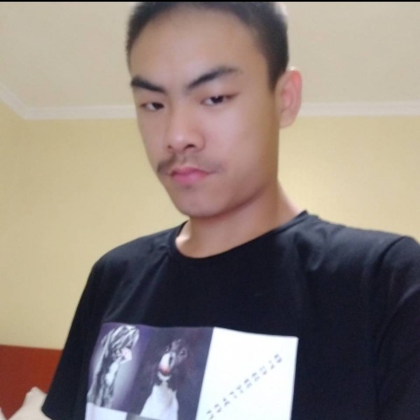 翅膀勤劳的照片