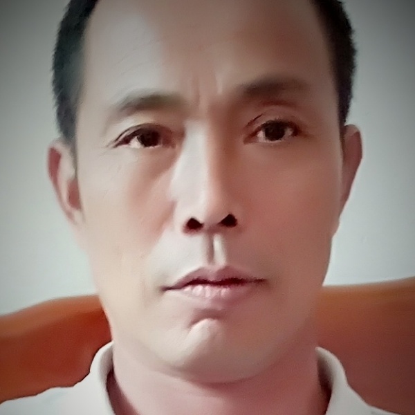 虚幻爱小海豚的照片