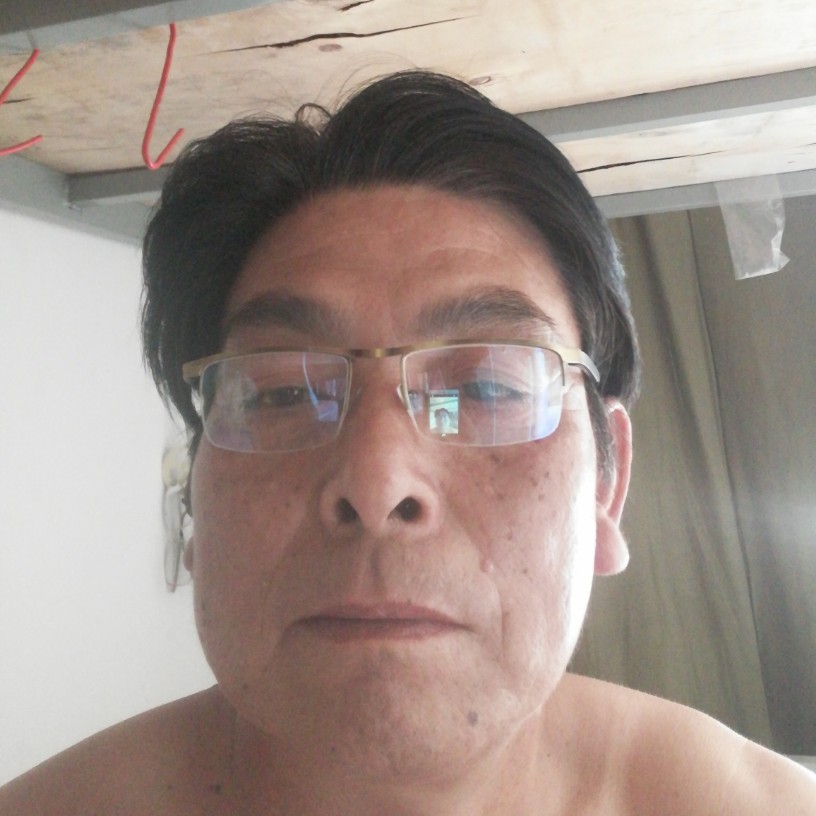 勤劳回眸灰狼的照片