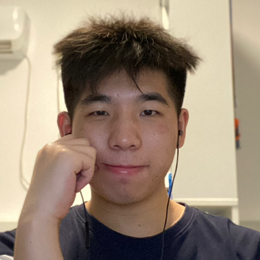 D梧桐叶落的照片