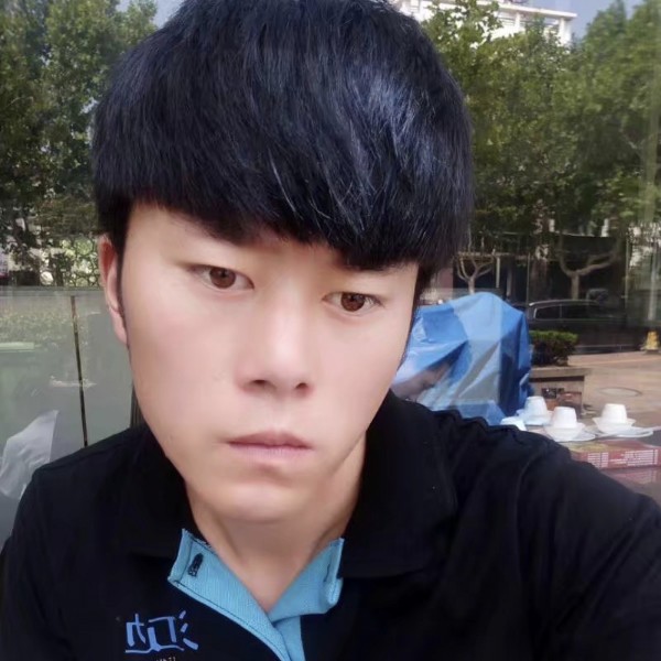 洋葱含糊的照片