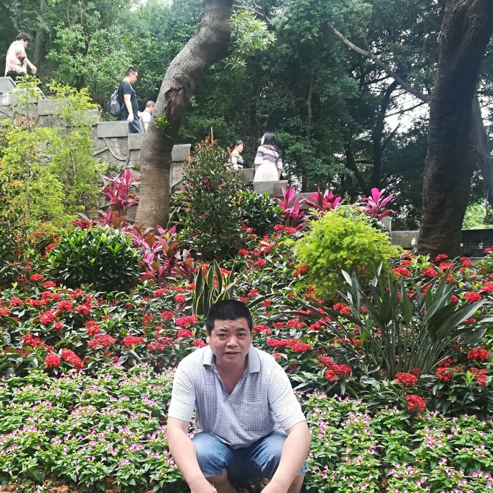 灵巧泪了芝麻的照片