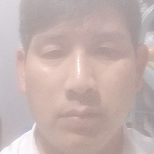 灰狼苹果的照片