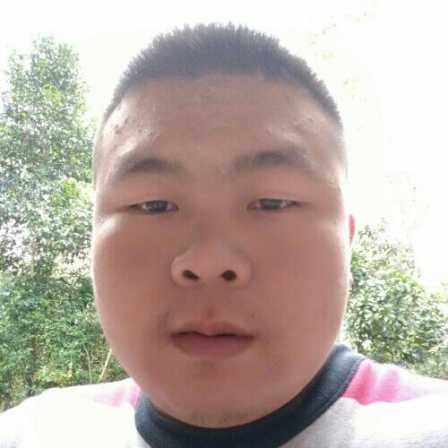 风里来  雨里去的照片