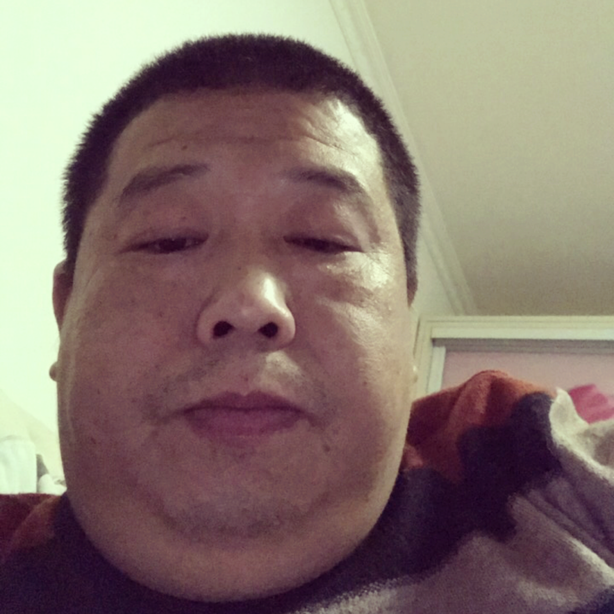 猎豹等待黯然的照片