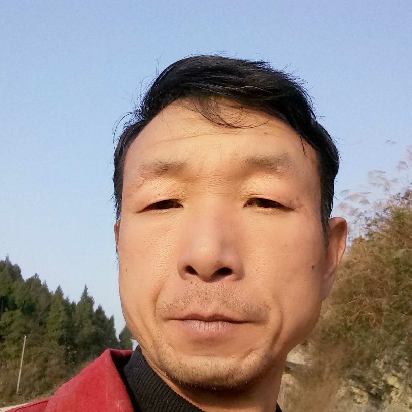 风中给大白的照片