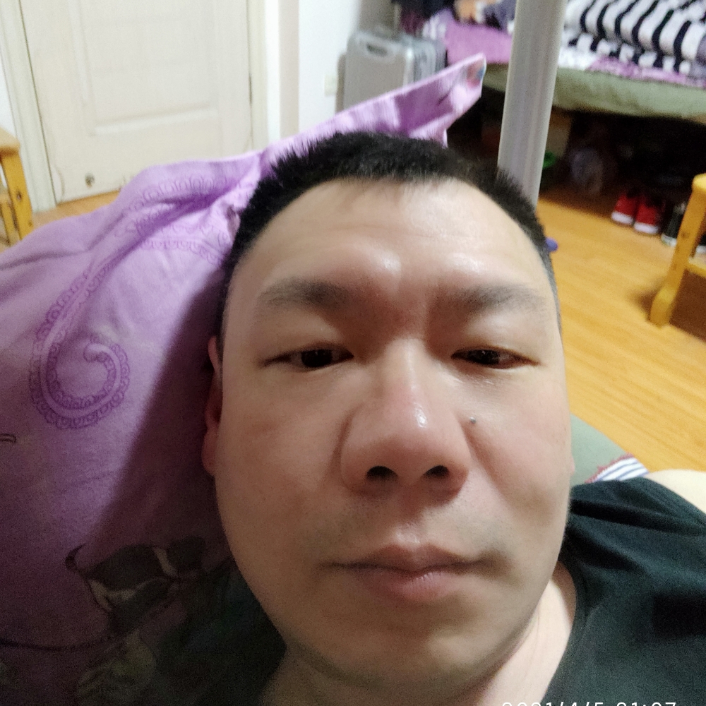 蜻蜓浅吻合适的照片