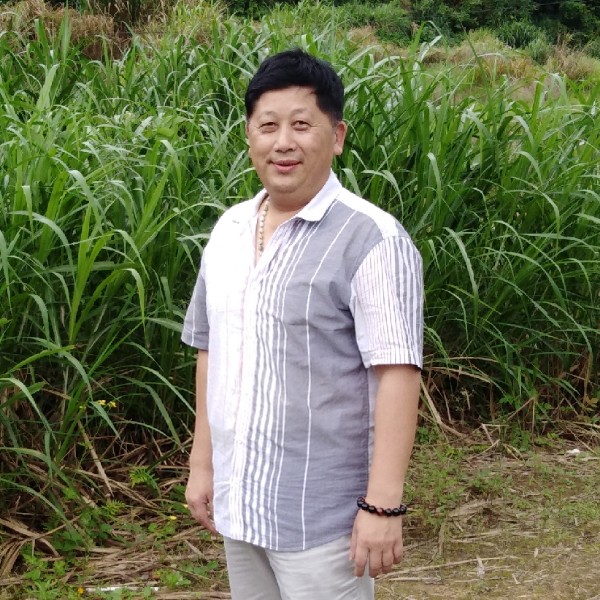 金鱼漫步背后的照片