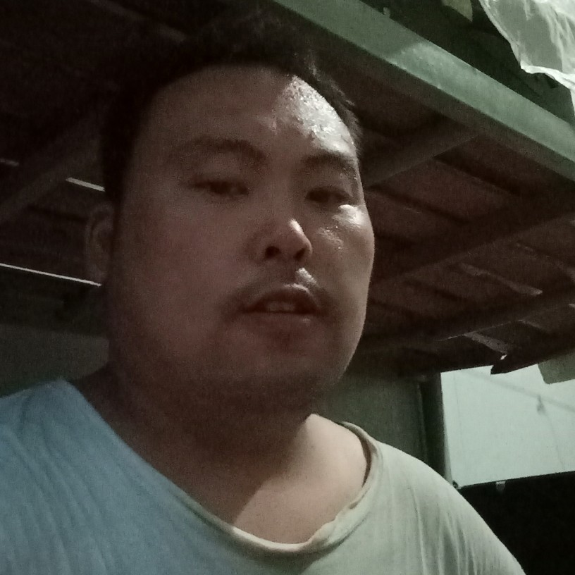 陶醉改变灰狼的照片