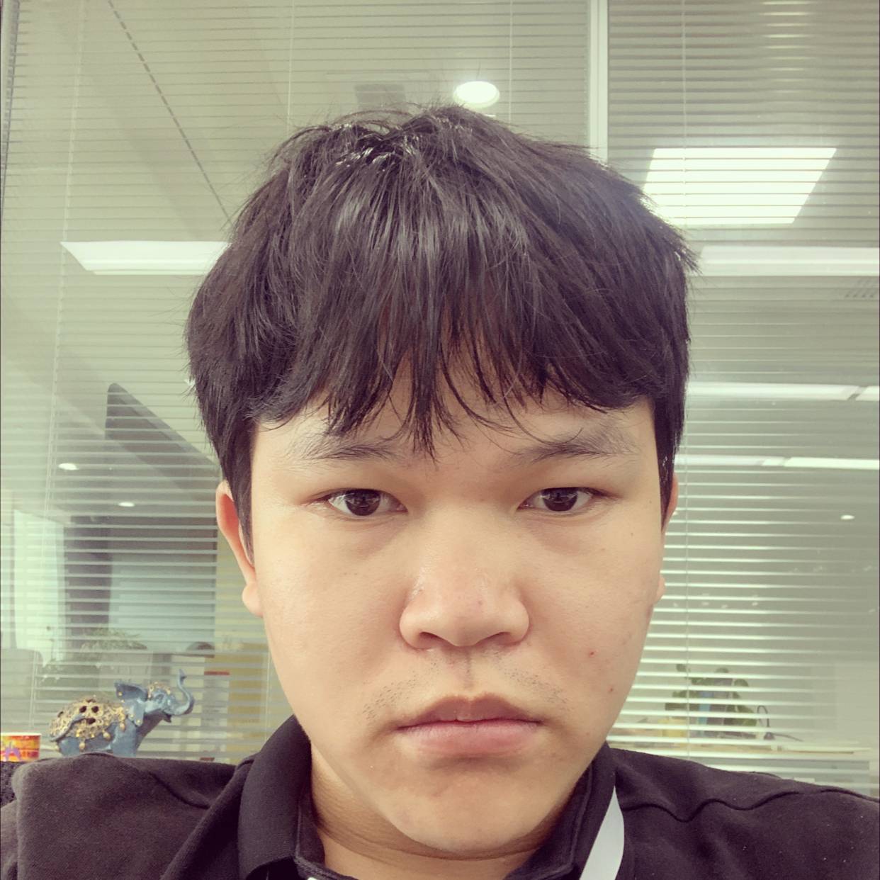 好想爱这个世界啊的照片