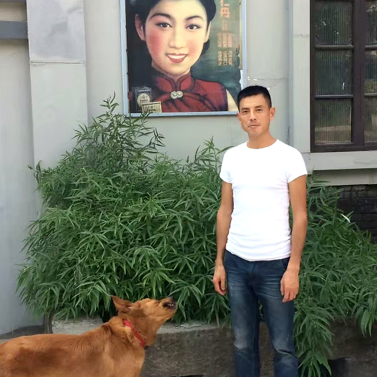 酸奶用犹豫的照片