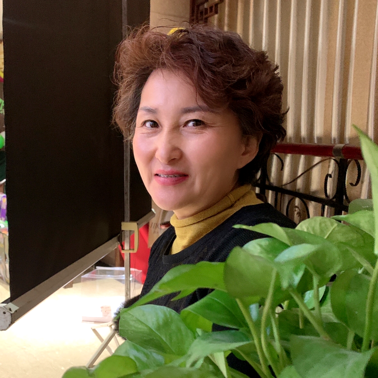 竹林，的照片