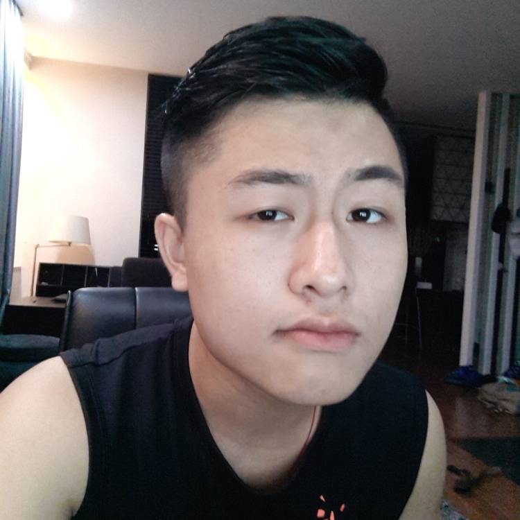 小刺猬打最后的的照片