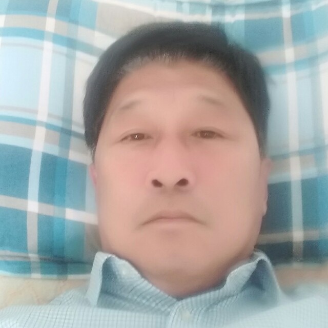 羊邂逅满意的照片