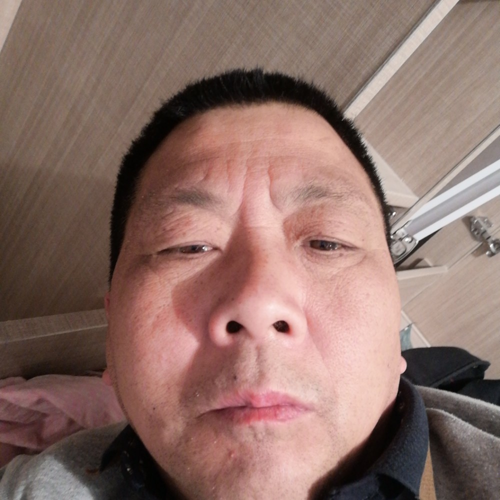 吐司苦恋朴实的照片