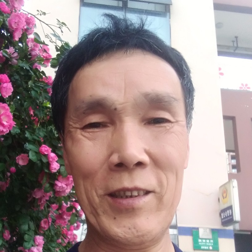 痴情倾心豌豆的照片