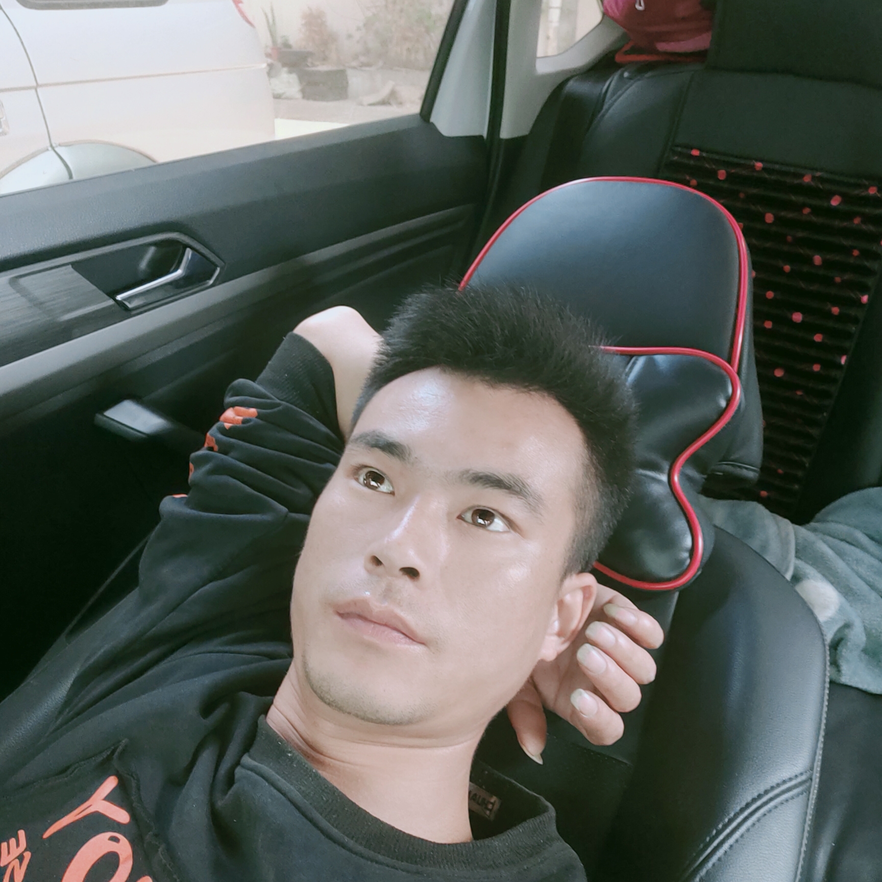 伶俐凝眸鱼的照片