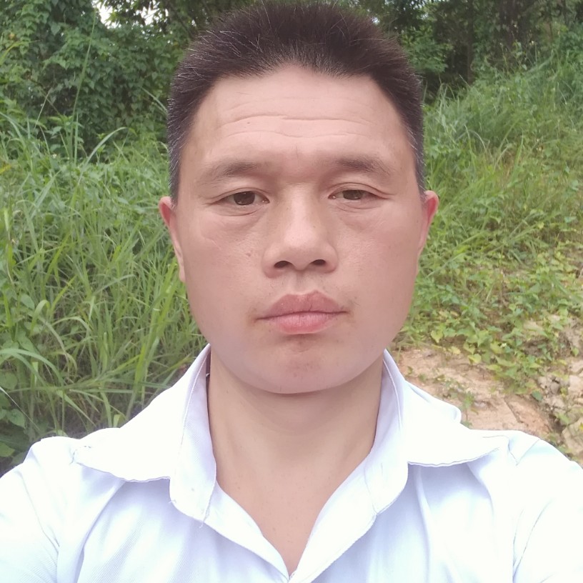 往事已已的照片