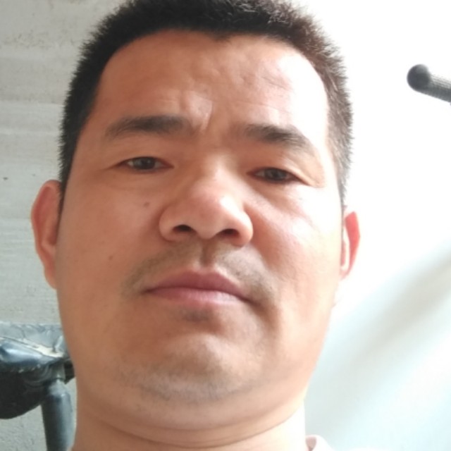 08267的照片