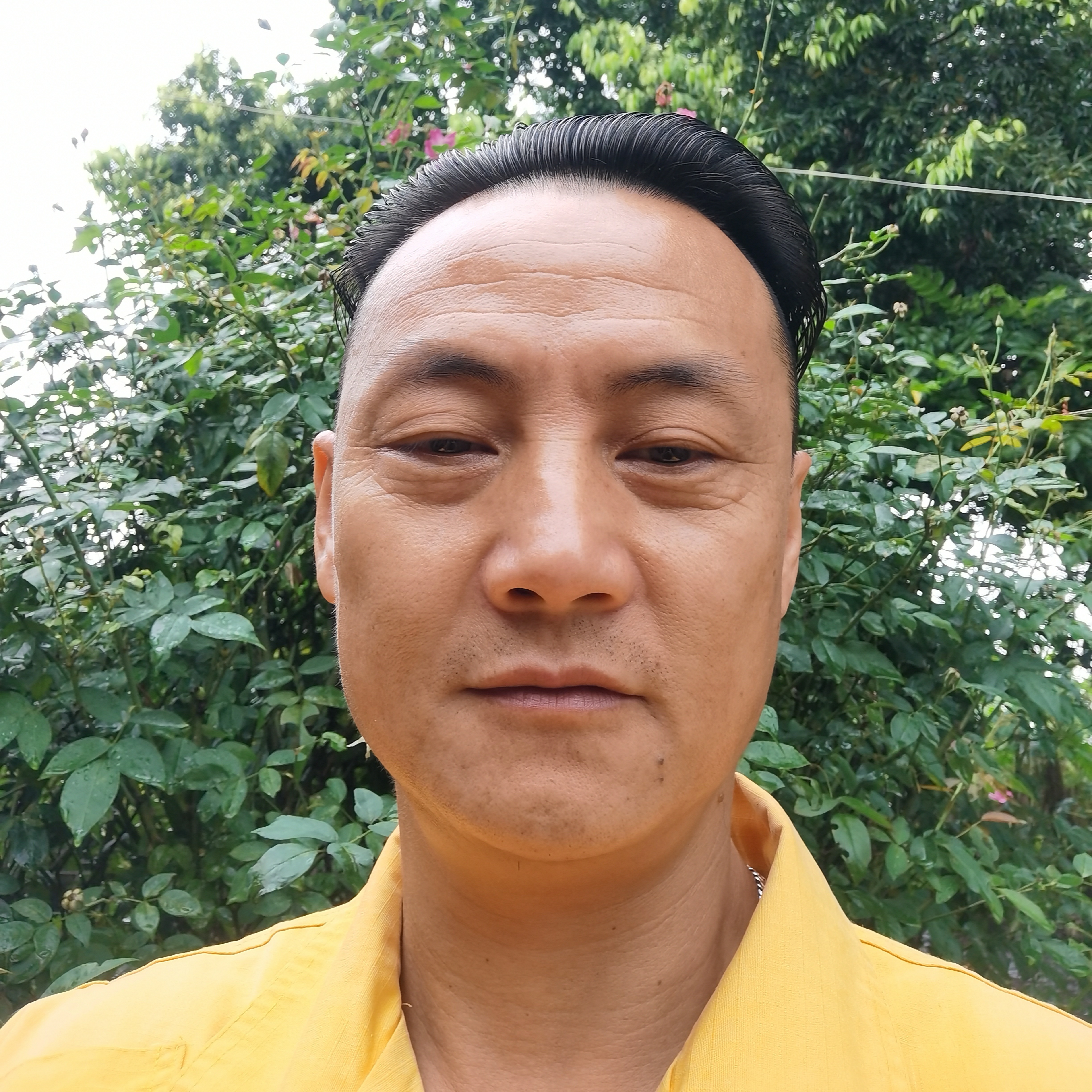 坚强的红酒的照片