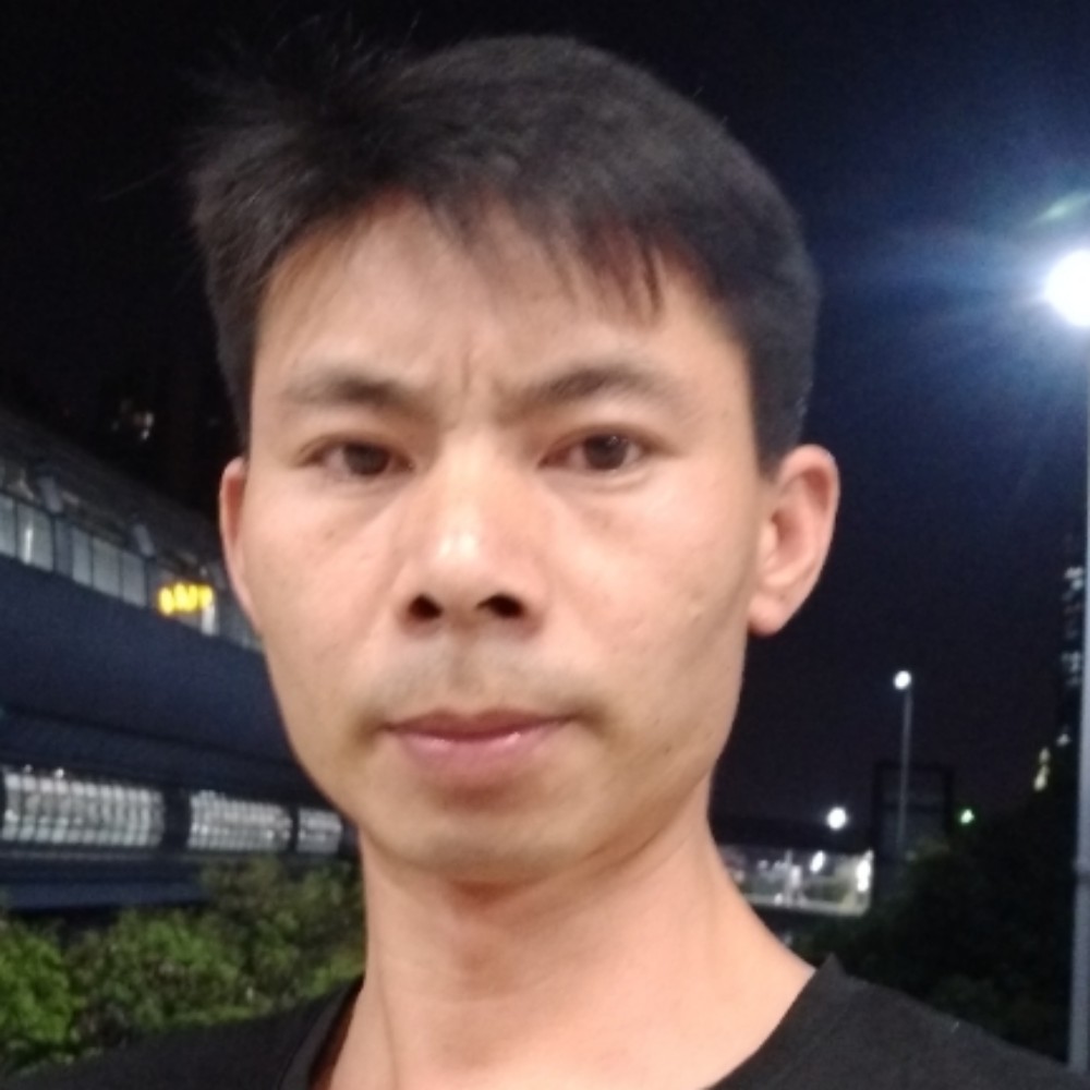 朴实用乌龟的照片
