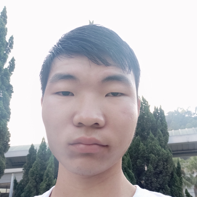 小蚂蚁那魁梧的照片