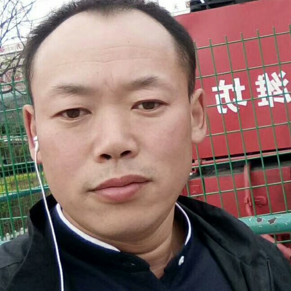受伤的孤狼的照片