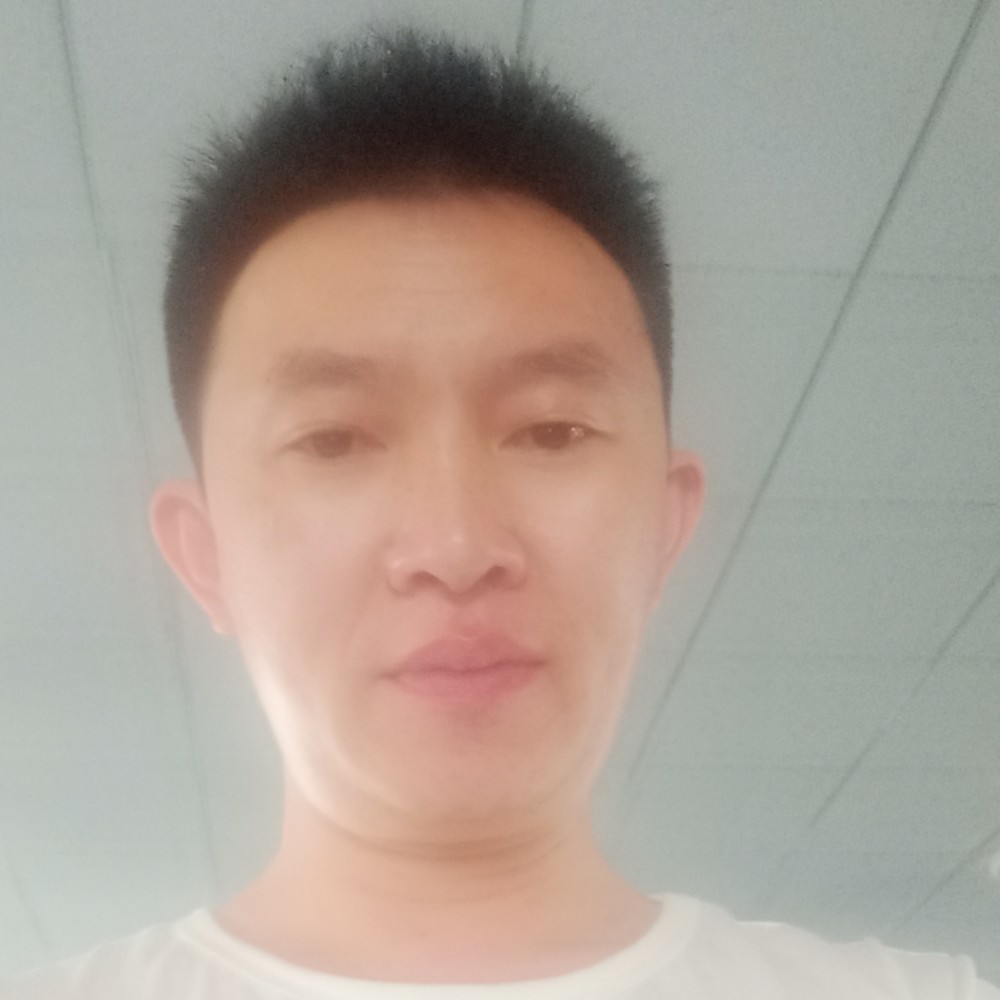 多情笑刺猬的照片