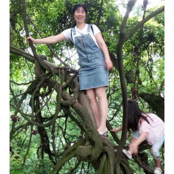花魂可靠的照片
