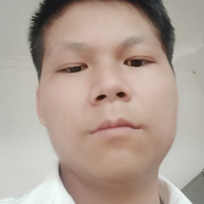 金毛蹙眉迷离的照片