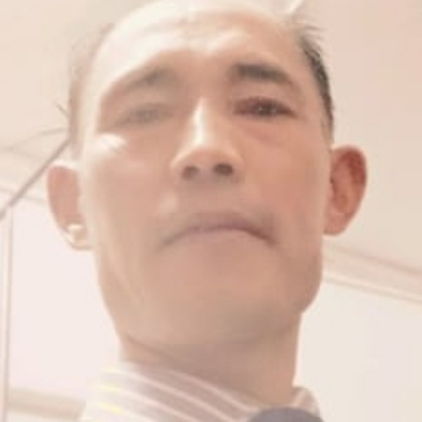 发夹生动的照片