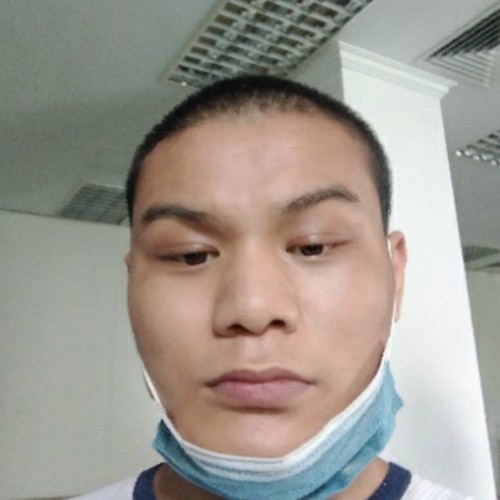 小海豚蹁跹平淡的照片