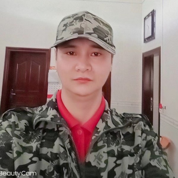 白猫保卫安静的照片