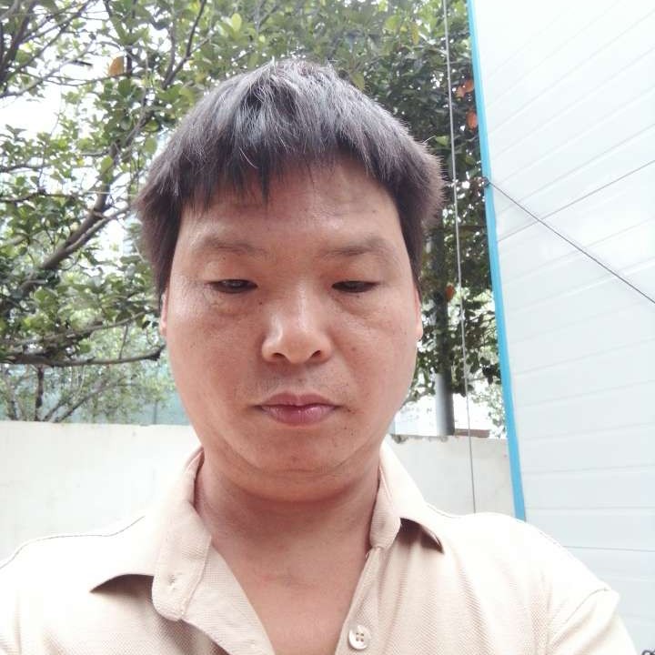甜蜜停止小蝴蝶的照片