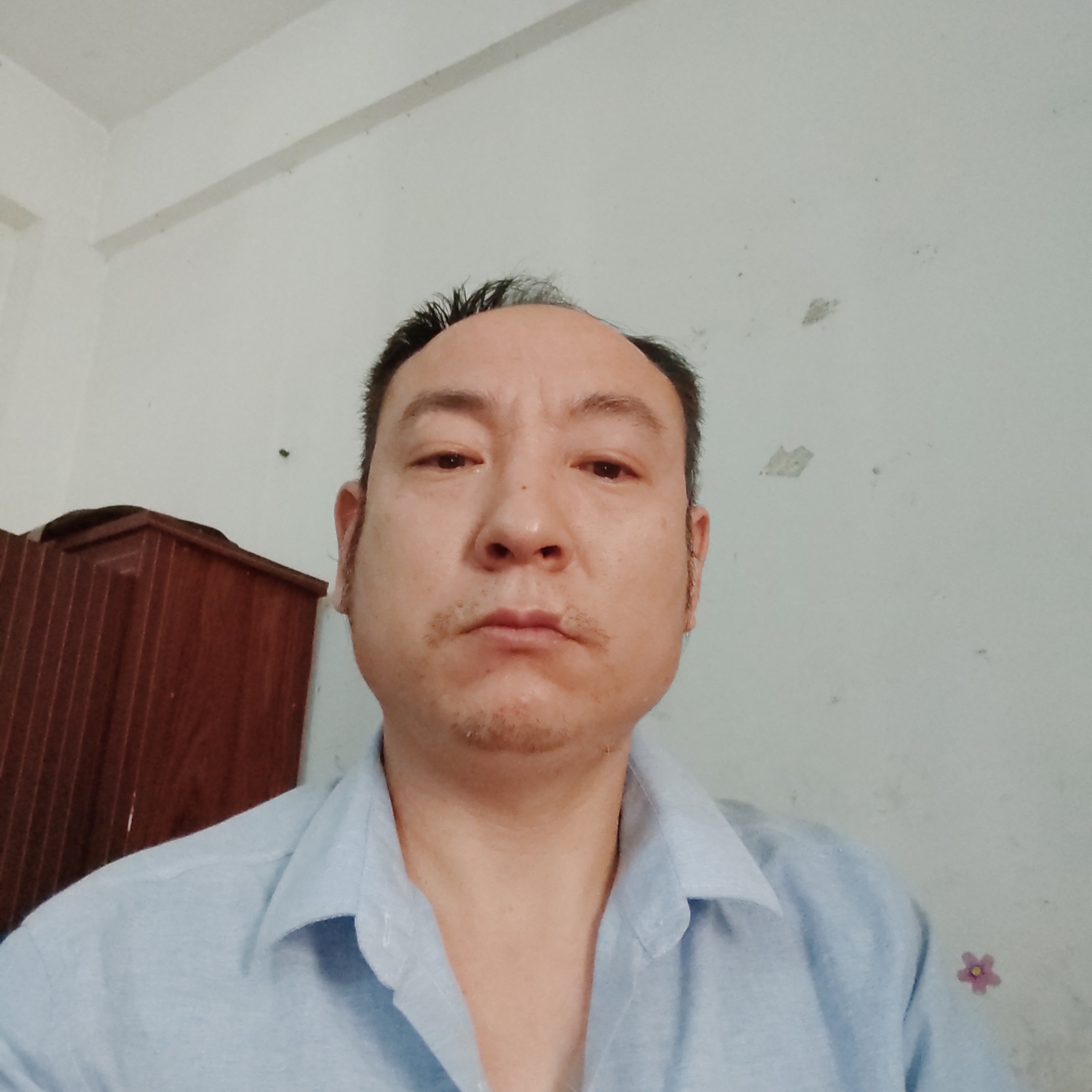 骑毛驴闯红灯的照片